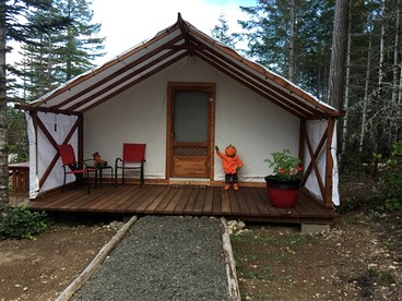 Charming Camping Getaway near Olympic National Park in Washington - Belfair, Washington - glamping.directory