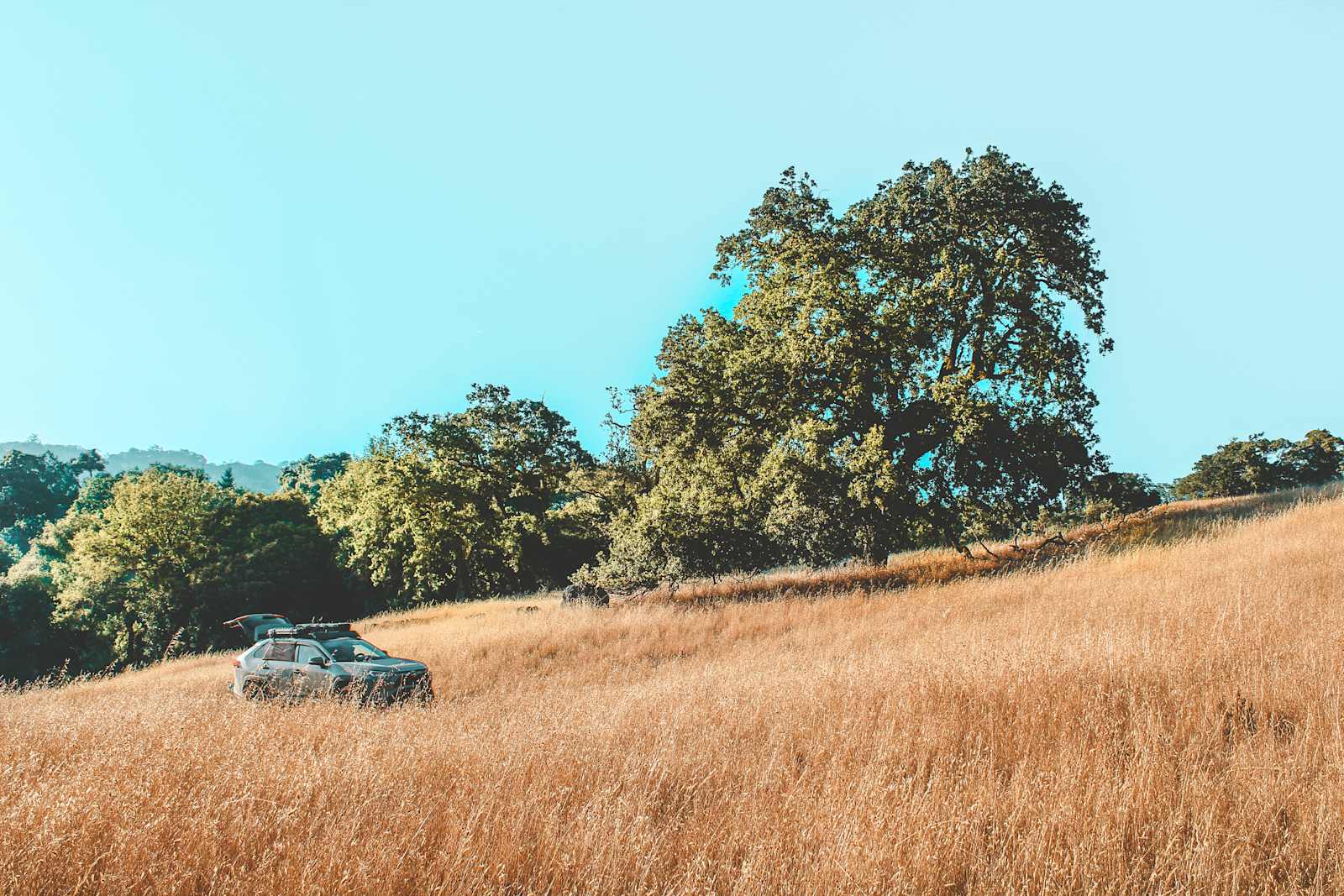 Skye Ranch - Hopland, California - glamping.directory