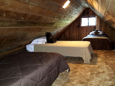 Family-Friendly Cabin Rental Nestled Among the Mountains of Champion, Pennsylvania - Champion, Pennsylvania - glamping.directory