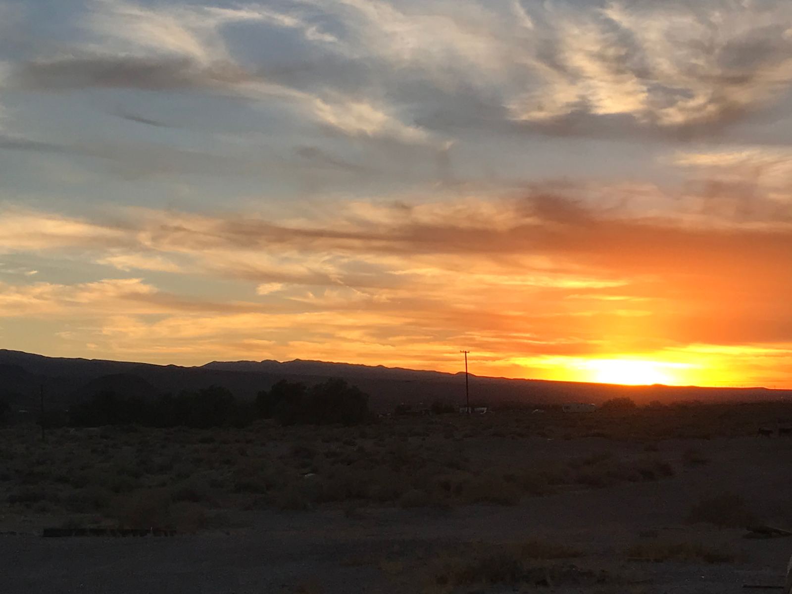Holistic Happiness - Newberry Springs, California - glamping.directory