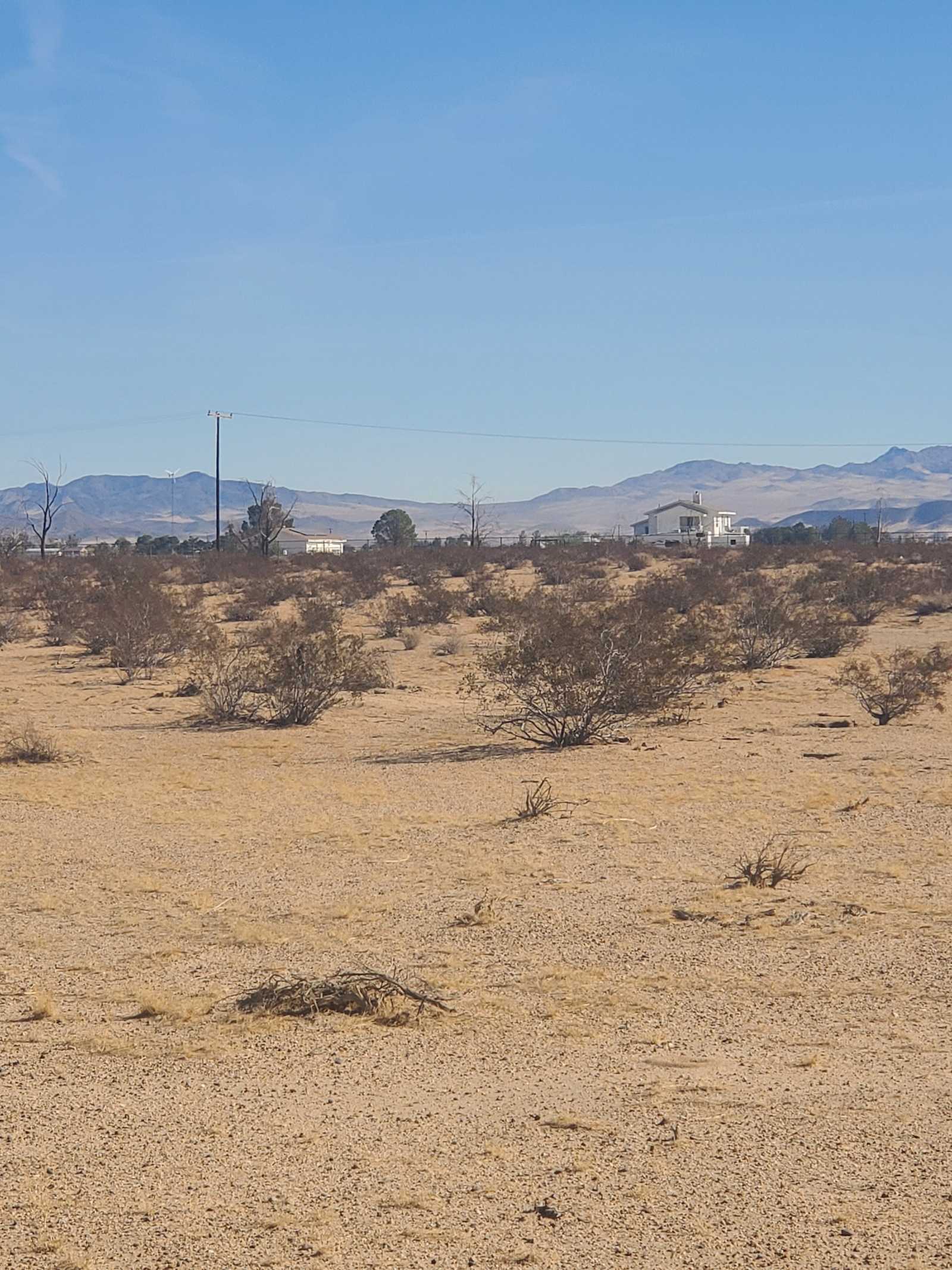 Holistic Happiness - Newberry Springs, California - glamping.directory