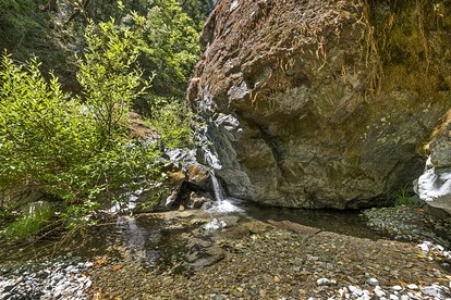 Secluded Cottage with Hot-tub in Cazadero, California - Cazadero, California - glamping.directory