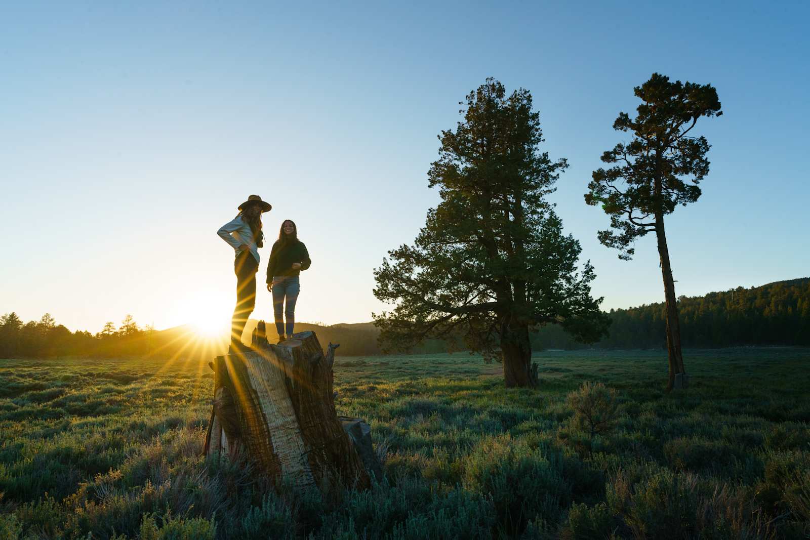 Holcomb Valley Ranch - glamping.directory