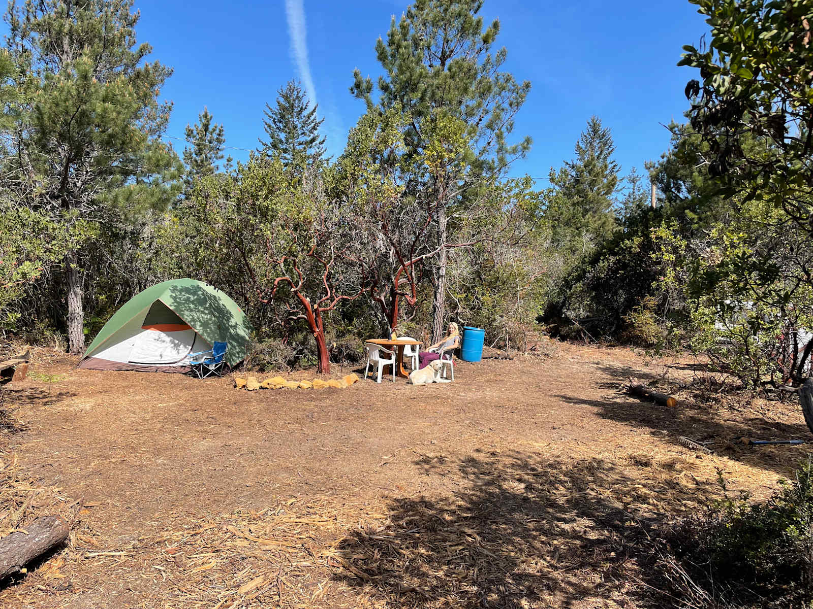 Private sunny forest near the coast - Albion, California - glamping.directory