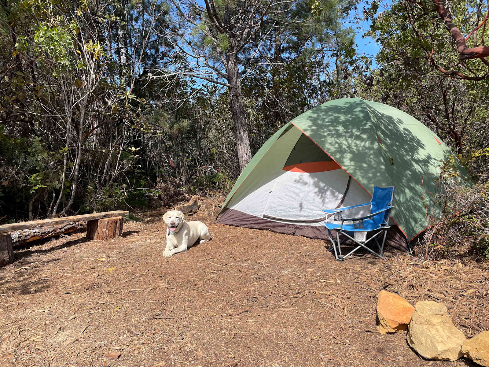 Private sunny forest near the coast - Albion, California - glamping.directory
