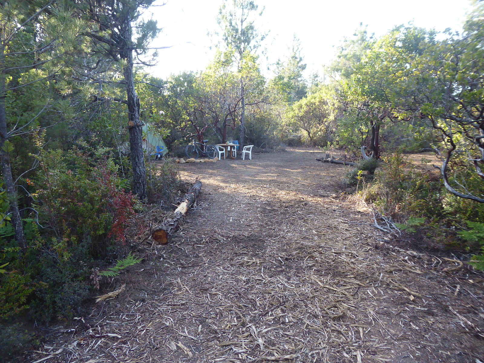 Private sunny forest near the coast - Albion, California - glamping.directory