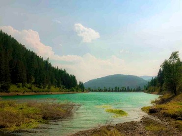 Pet-Friendly Safari Tent Glamping in Swan Valley, Idaho near Jackson Hole - Irwin, Idaho - glamping.directory