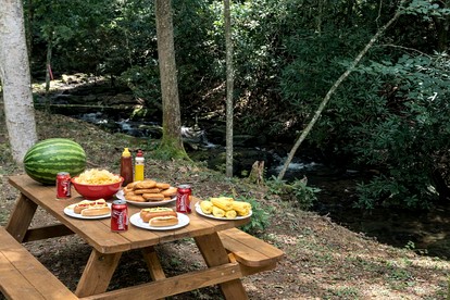 Secluded Cabin on Suches Creek and in the National Forest for a Relaxing Georgia Getaway - Suches, Georgia - glamping.directory