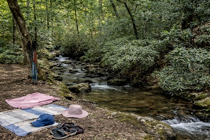 Secluded Cabin on Suches Creek and in the National Forest for a Relaxing Georgia Getaway - Suches, Georgia - glamping.directory