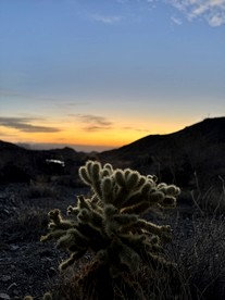 Serene Cozy Tent with Spectacular Desert and Sunset Views in Nevada - Boulder City, Nevada - glamping.directory