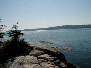 Woodland Cottage Rental Nestled Among Spruce Trees near the Todd Wildlife Sanctuary, Maine - Friendship, Maine - glamping.directory