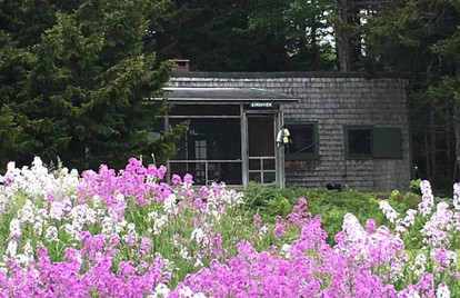 Woodland Cottage Rental Nestled Among Spruce Trees near the Todd Wildlife Sanctuary, Maine - glamping.directory