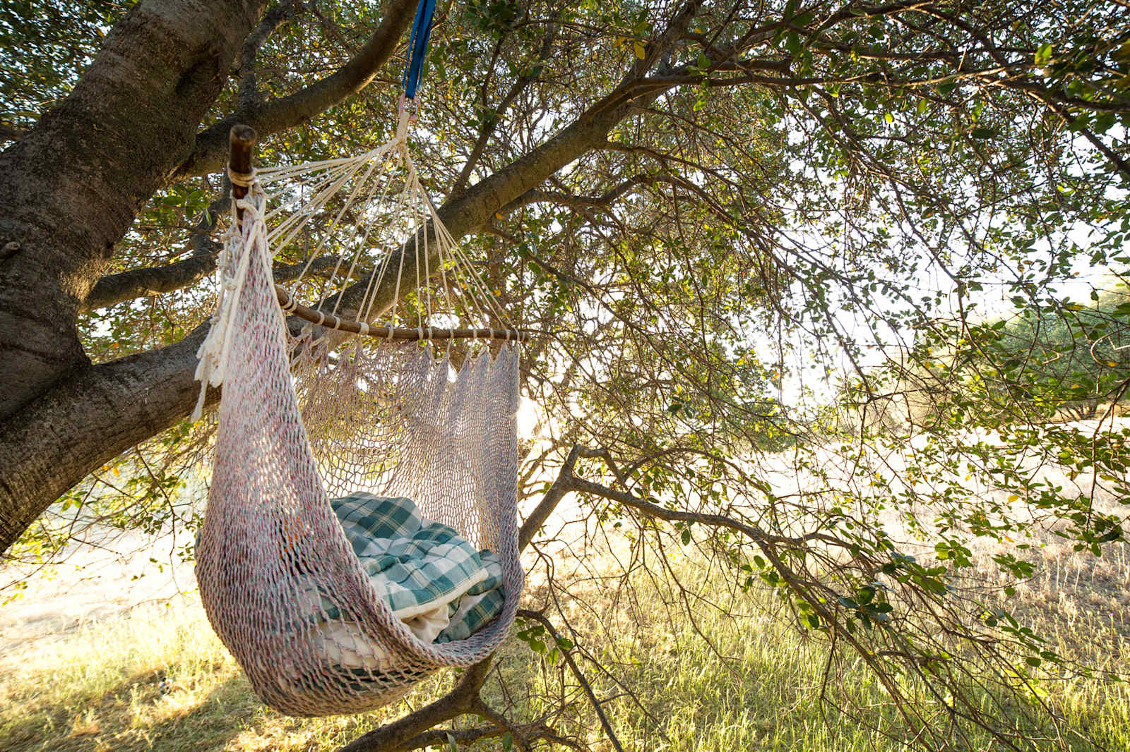 Wondernut Farm - Big Oak Flat, California - glamping.directory
