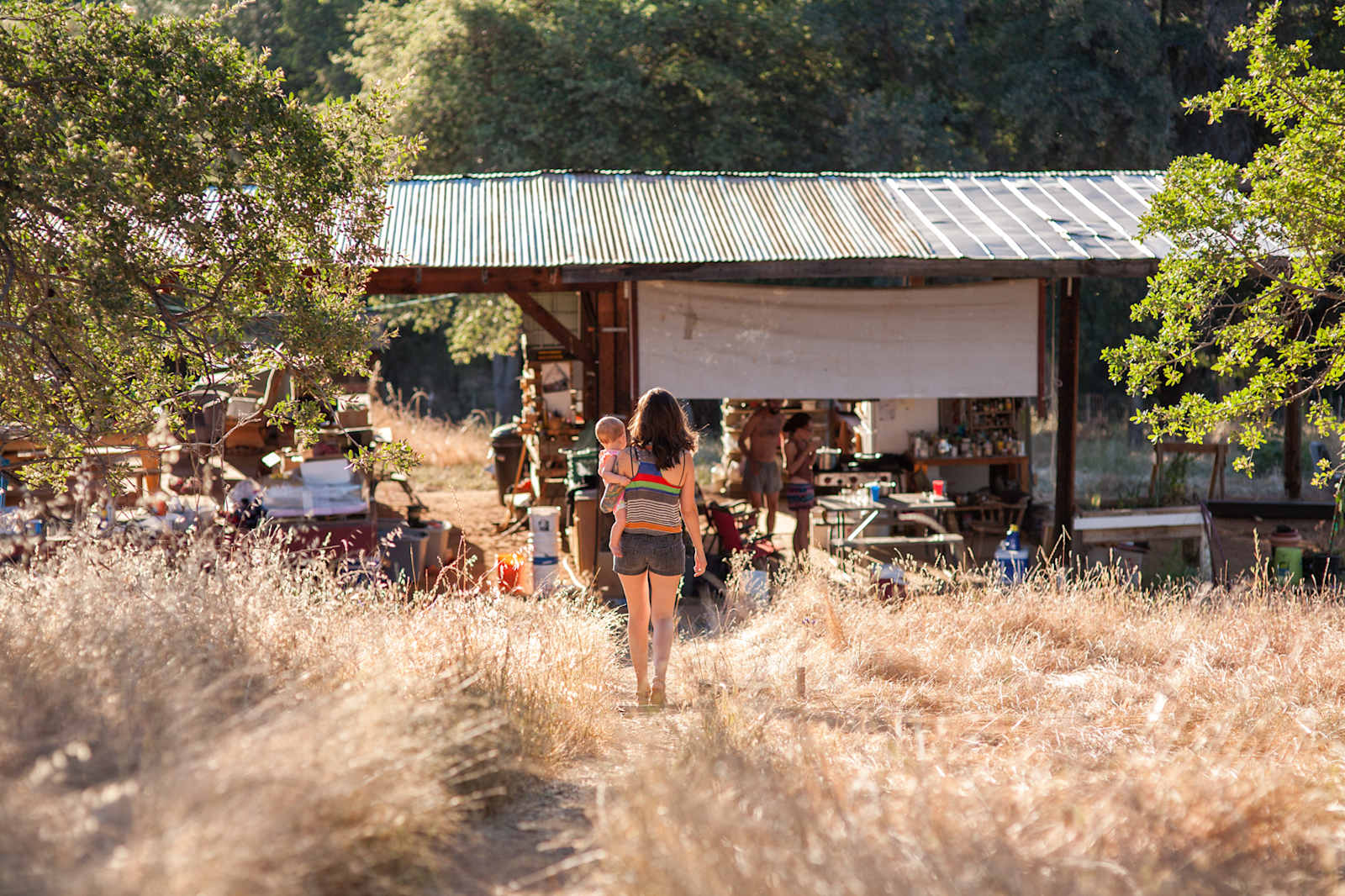 Wondernut Farm - Big Oak Flat, California - glamping.directory