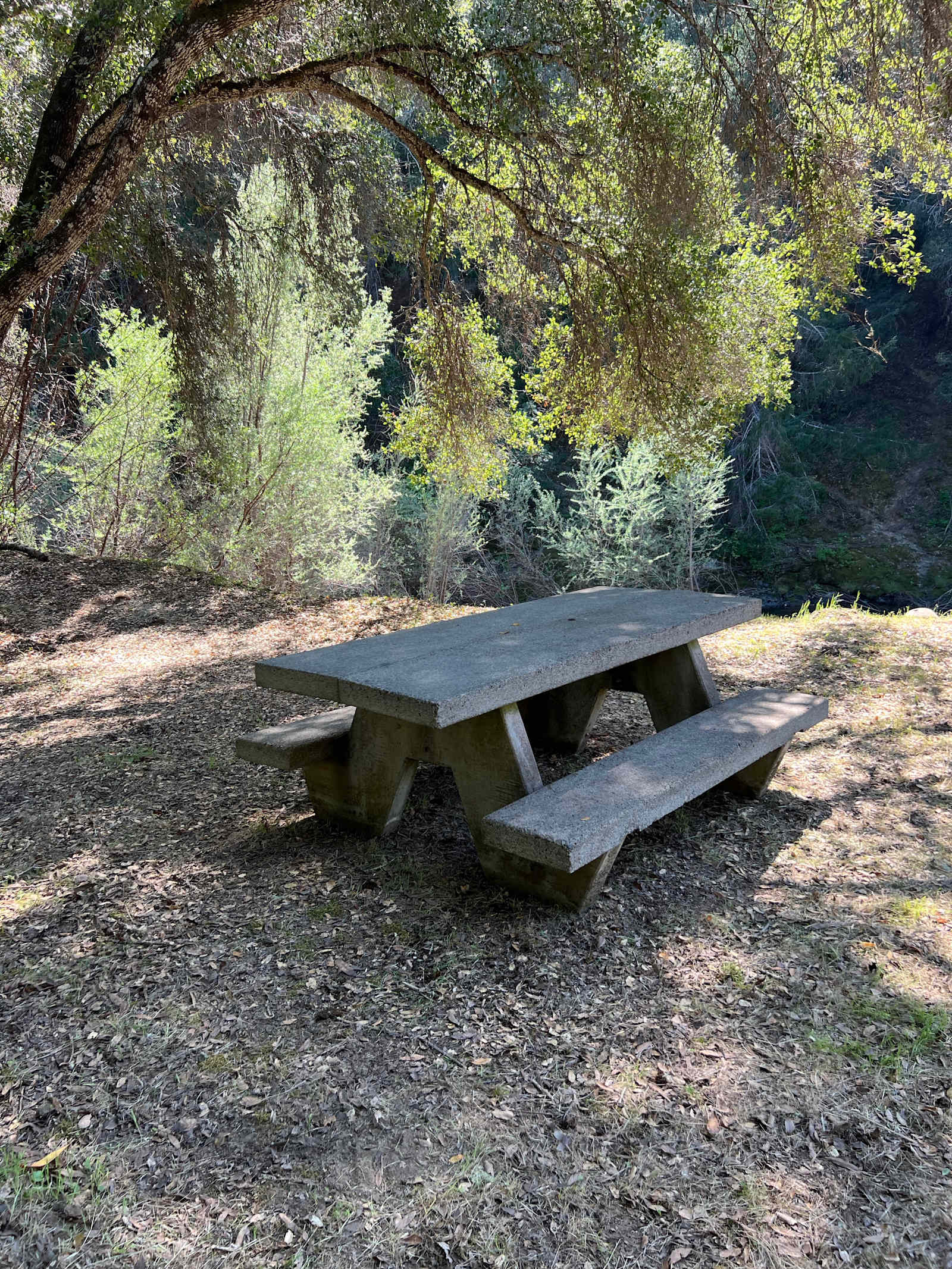 Feliz Creek Vacations - Hopland, California - glamping.directory