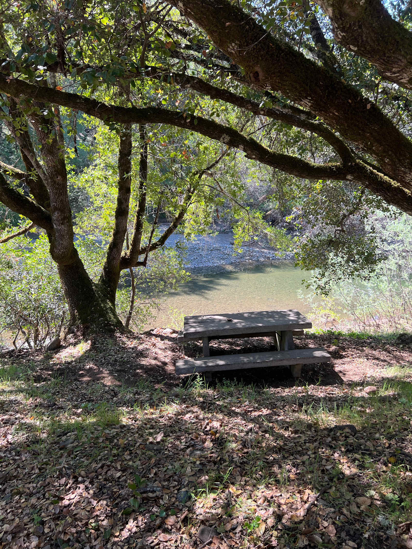 Feliz Creek Vacations - glamping.directory