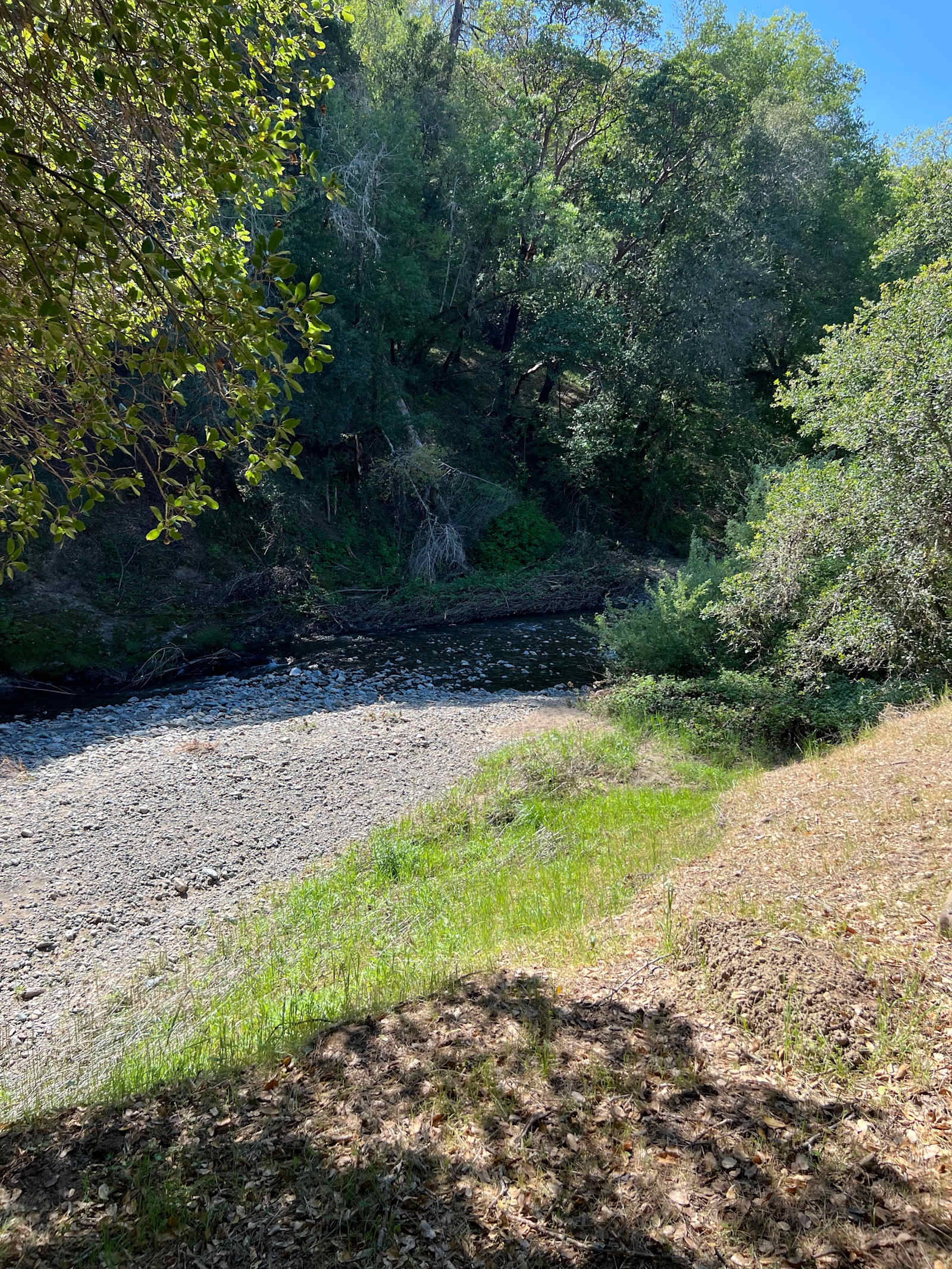 Feliz Creek Vacations - Hopland, California - glamping.directory