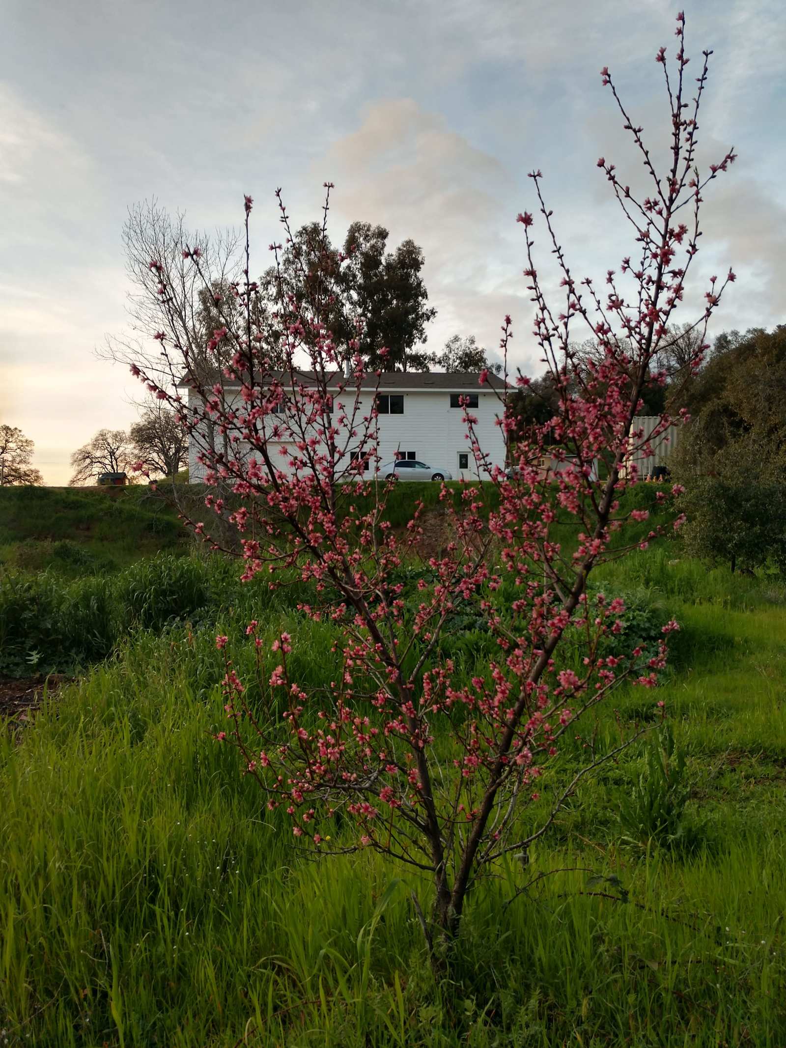 Panoramic Sunsets - Oroville, California - glamping.directory