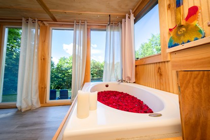 Cozy Tiny House Glamping Rental in New York with Views of the Catskills - Preston Hollow, New York - glamping.directory