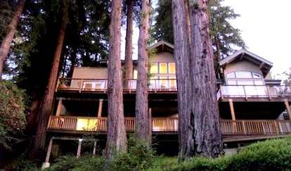 Spacious, Upscale Tree House in California, 15 Minutes from Golden Gate Bridge - Mill Valley, California - glamping.directory