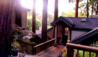 Spacious, Upscale Tree House in California, 15 Minutes from Golden Gate Bridge - Mill Valley, California - glamping.directory