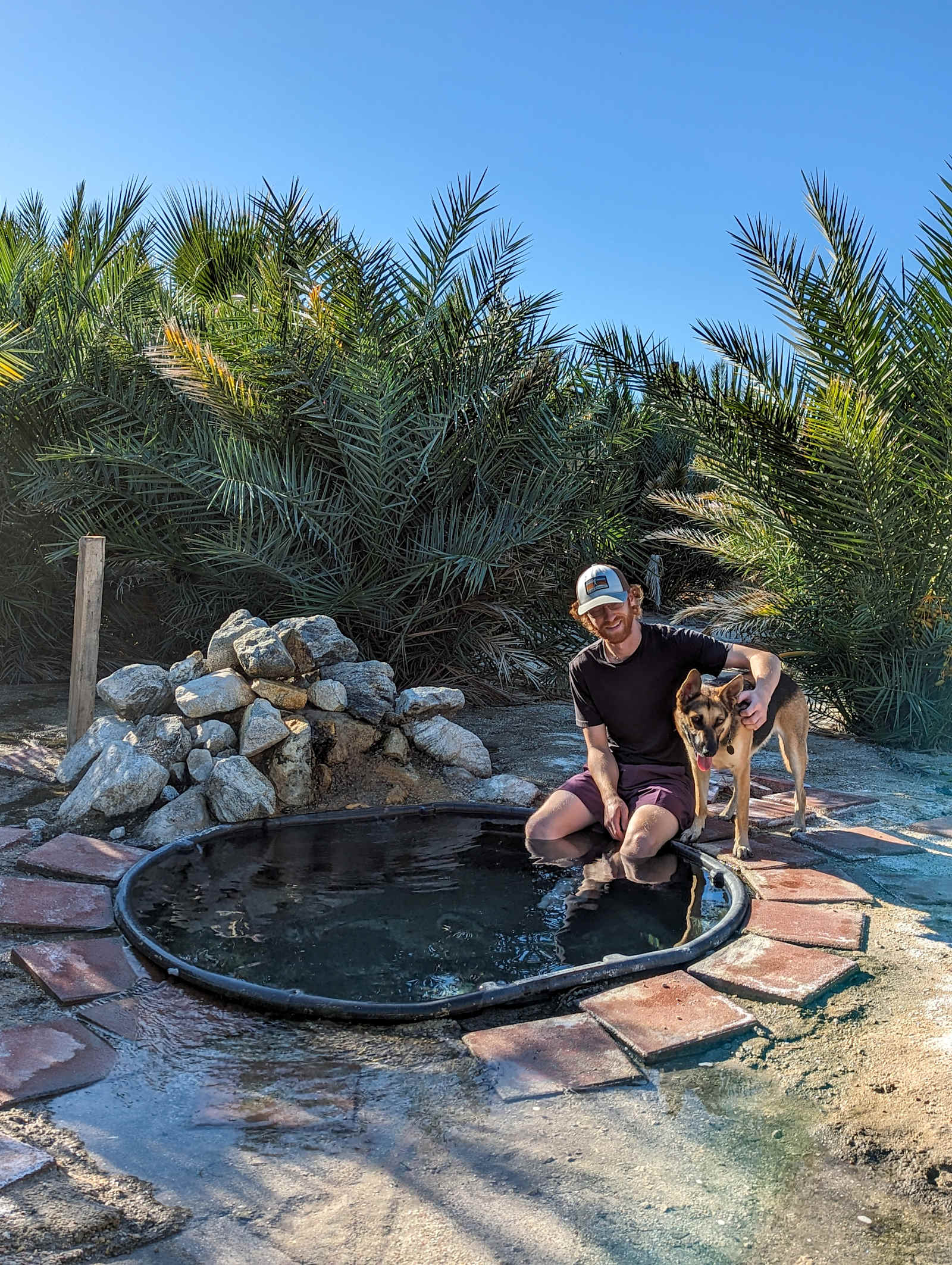 Mineral Spring Date Farm - Desert Hot Springs, California - glamping.directory