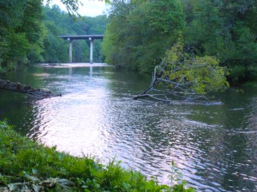 Charming Yurt Getaway on the Edge of the Nantahala Forest, North Carolina - Cullowhee, North Carolina - glamping.directory