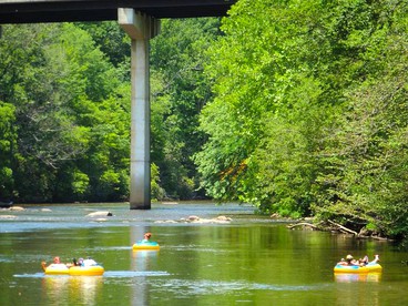 Charming Yurt Getaway on the Edge of the Nantahala Forest, North Carolina - Cullowhee, North Carolina - glamping.directory