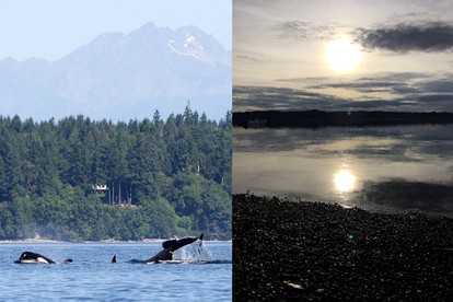 Incredible Sunset at Beachfront Glamping Cabin on Private, Herron Island with Fire Pit and Kayaking near Olympia, Washington - Lakebay, Washington - glamping.directory