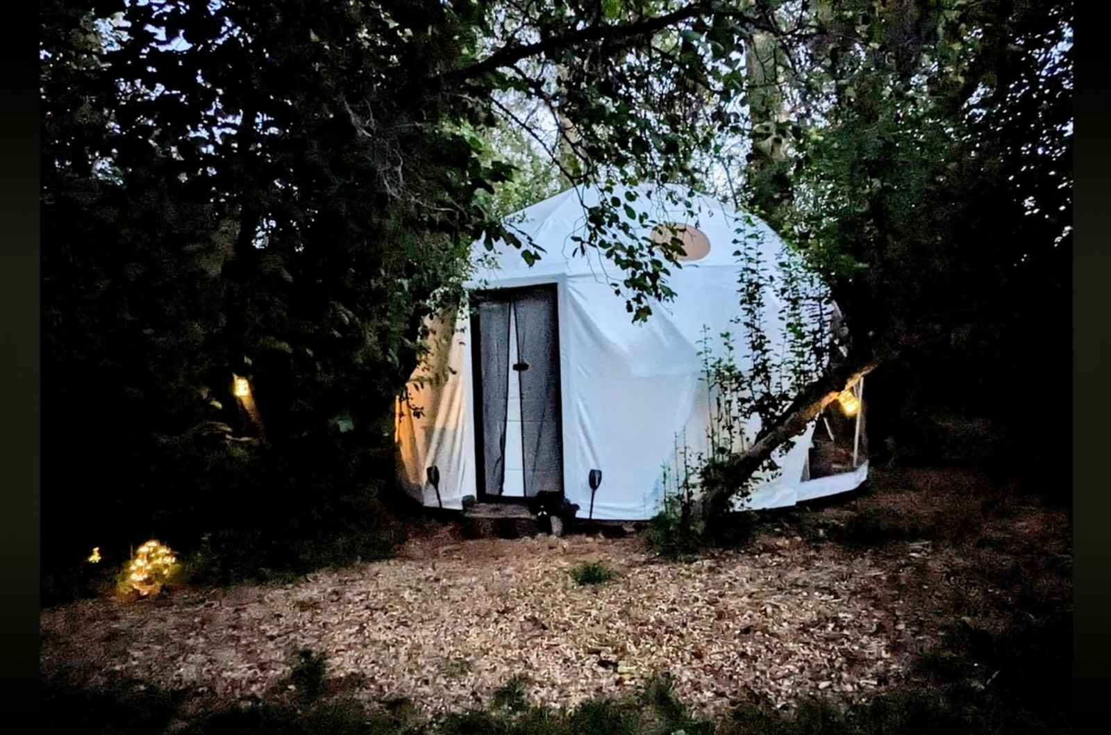 The Healing Dome - Mc Cloud, California - glamping.directory
