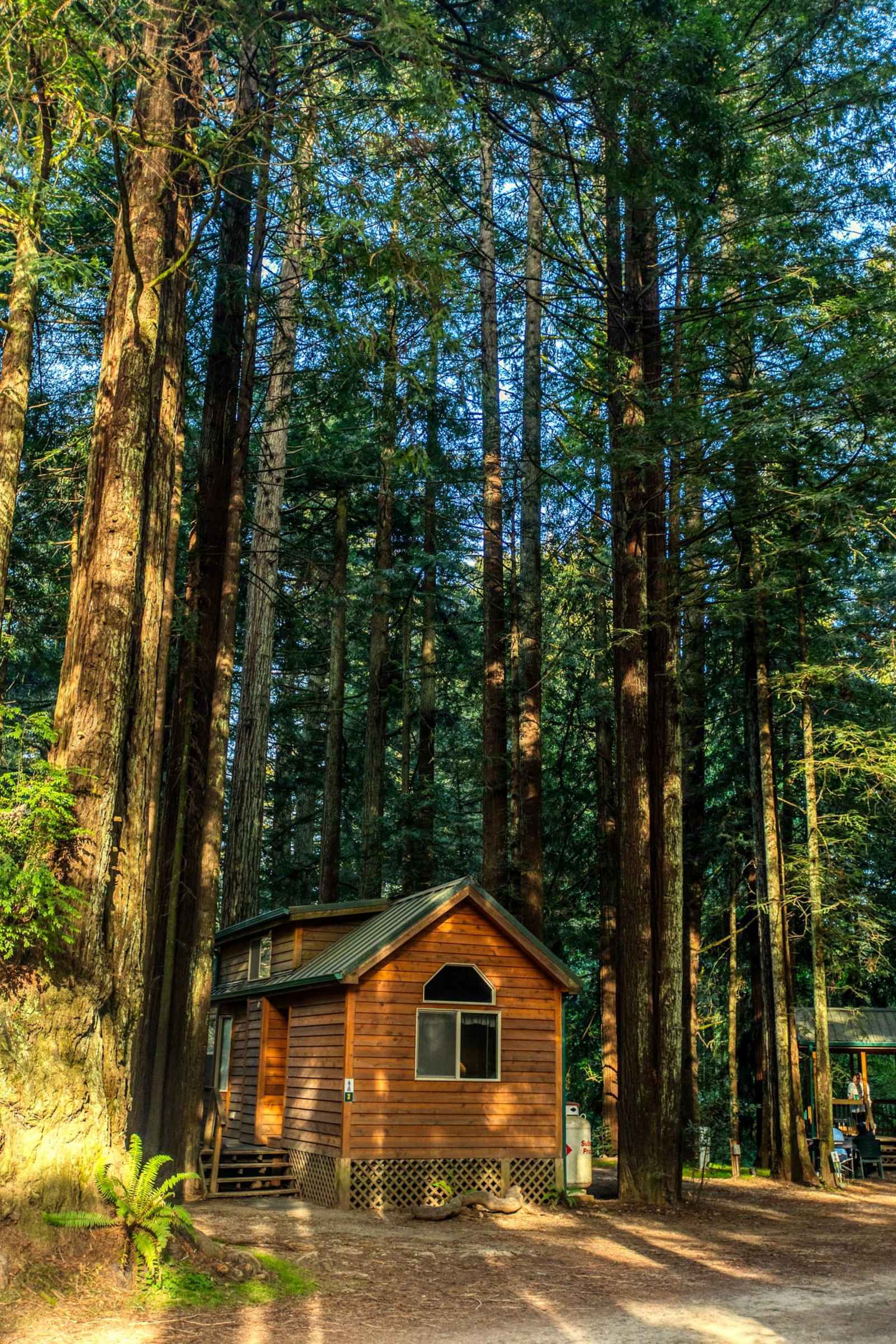 Ramblin' Redwoods Cabins - Crescent City, California - glamping.directory