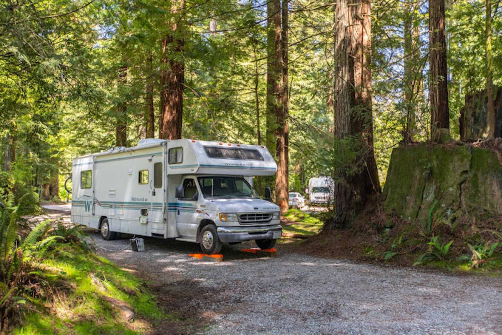 Ramblin' Redwoods Cabins - Crescent City, California - glamping.directory