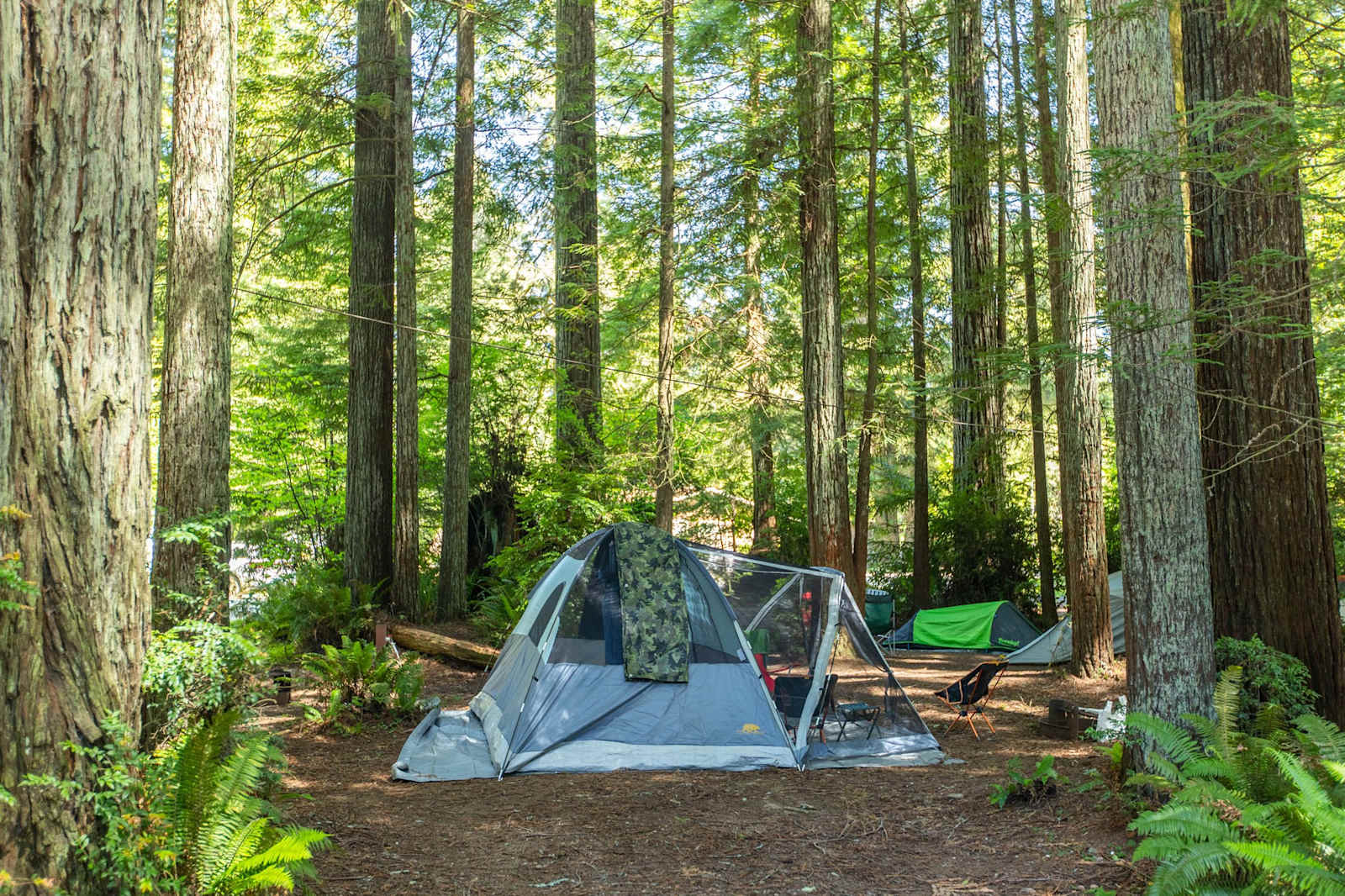 Ramblin' Redwoods Cabins - Crescent City, California - glamping.directory