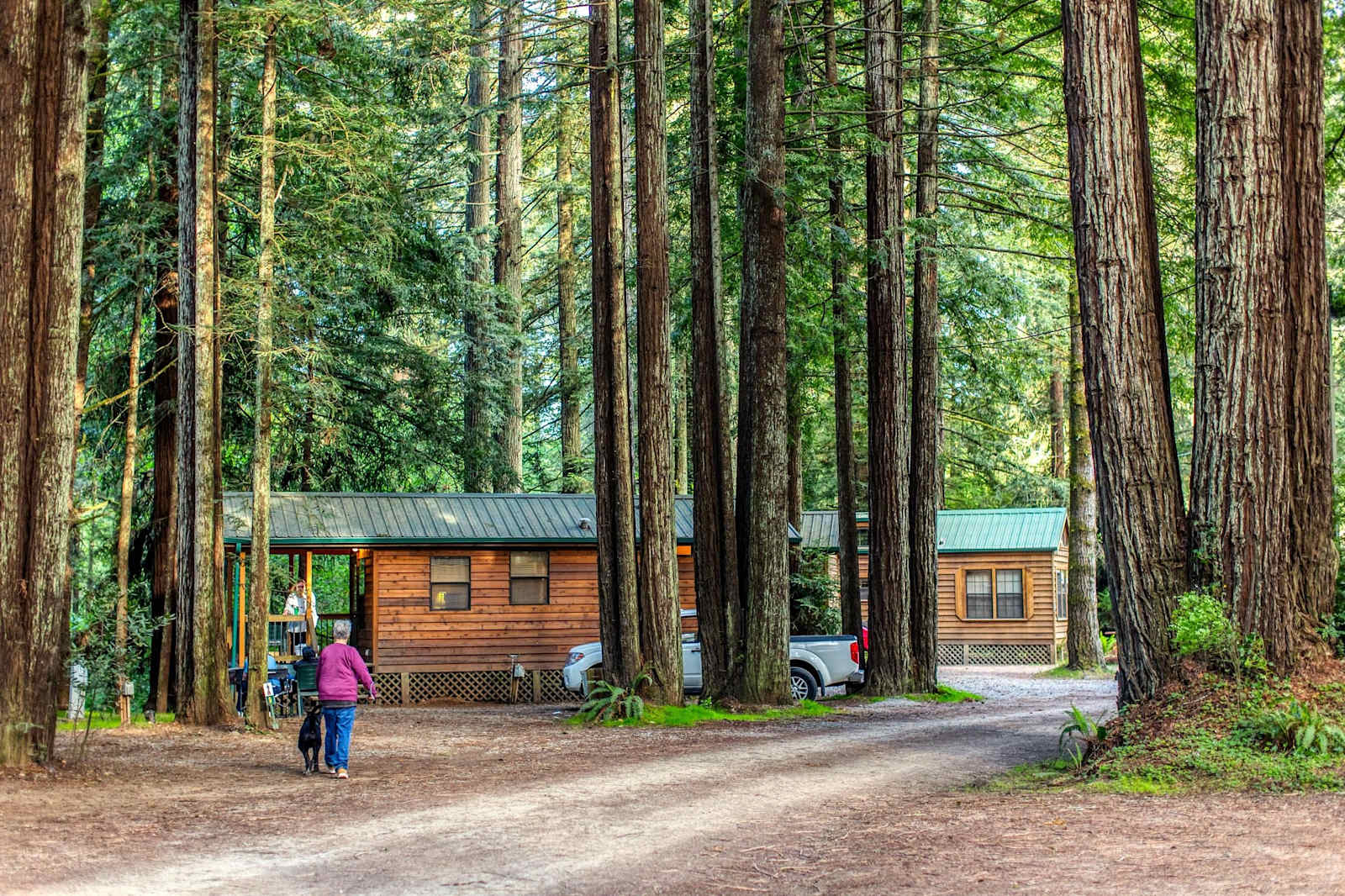 Ramblin' Redwoods Cabins - Crescent City, California - glamping.directory