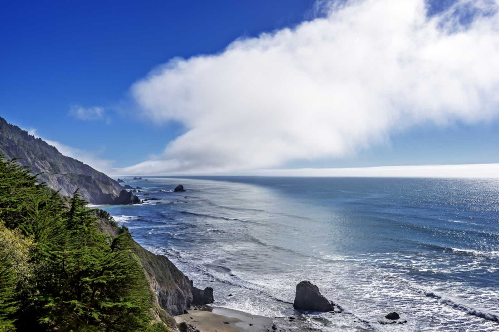 Ramblin' Redwoods Cabins - Crescent City, California - glamping.directory
