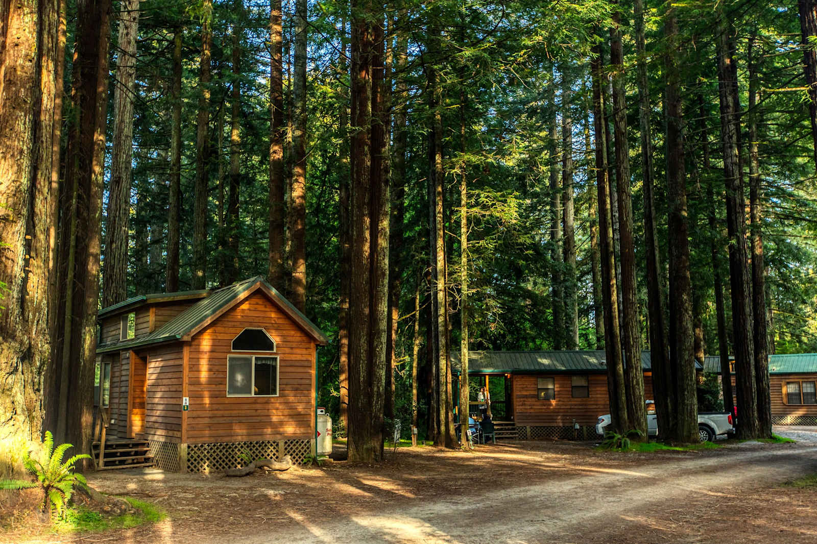 Ramblin' Redwoods Cabins - Crescent City, California - glamping.directory