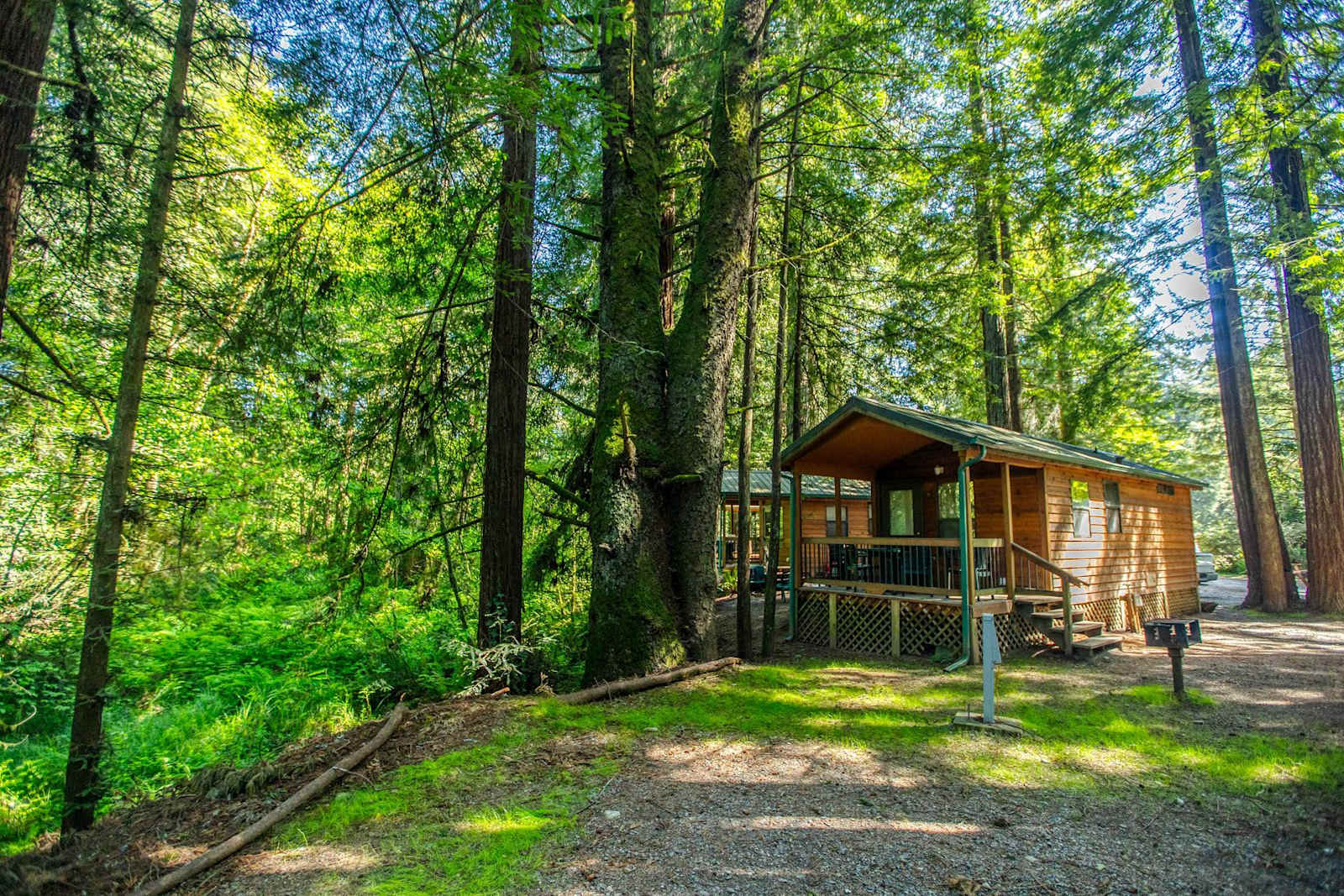 Ramblin' Redwoods Cabins - Crescent City, California - glamping.directory