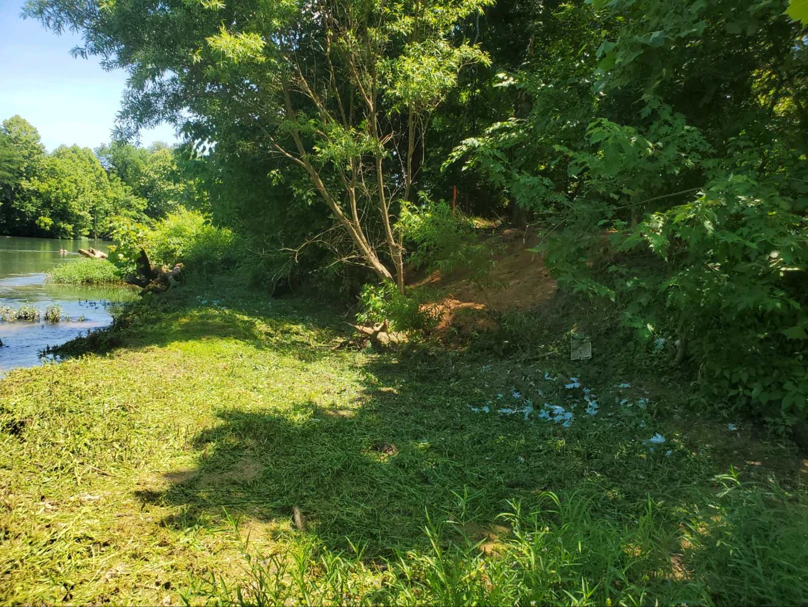 Primitive/ BF full hookup/ Dome - Pocahontas, Arkansas - glamping.directory
