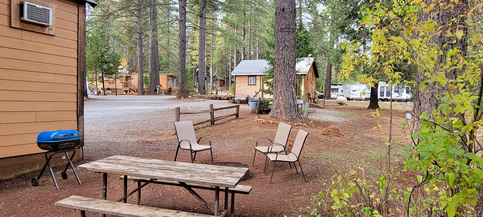 Bigfoot Lodging Vacation Rentals - Shingletown, California - glamping.directory
