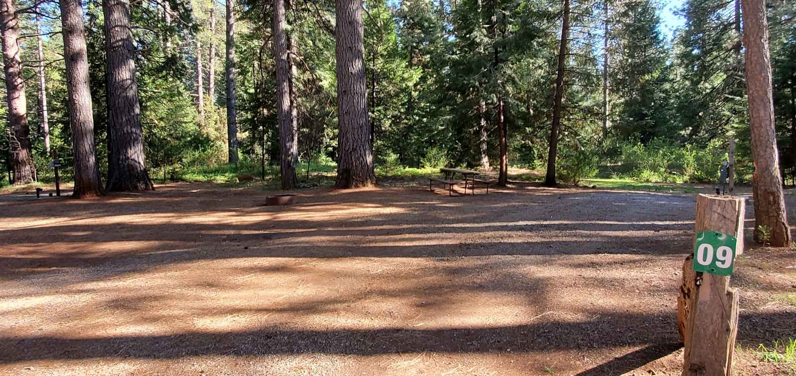 Bigfoot Lodging Vacation Rentals - glamping.directory