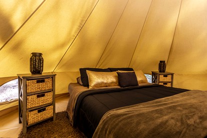 Pioneering Pet-Friendly Glamping: Mt. Laguna's Original Nature Lovers' Retreat - Mount Laguna, California - glamping.directory