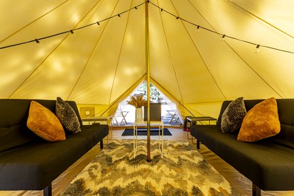 Pioneering Pet-Friendly Glamping: Mt. Laguna's Original Nature Lovers' Retreat - Mount Laguna, California - glamping.directory