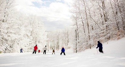 Panorama Paradise: Big Group Log Cabin Retreat in Bellaire, Michigan - Bellaire, Michigan - glamping.directory