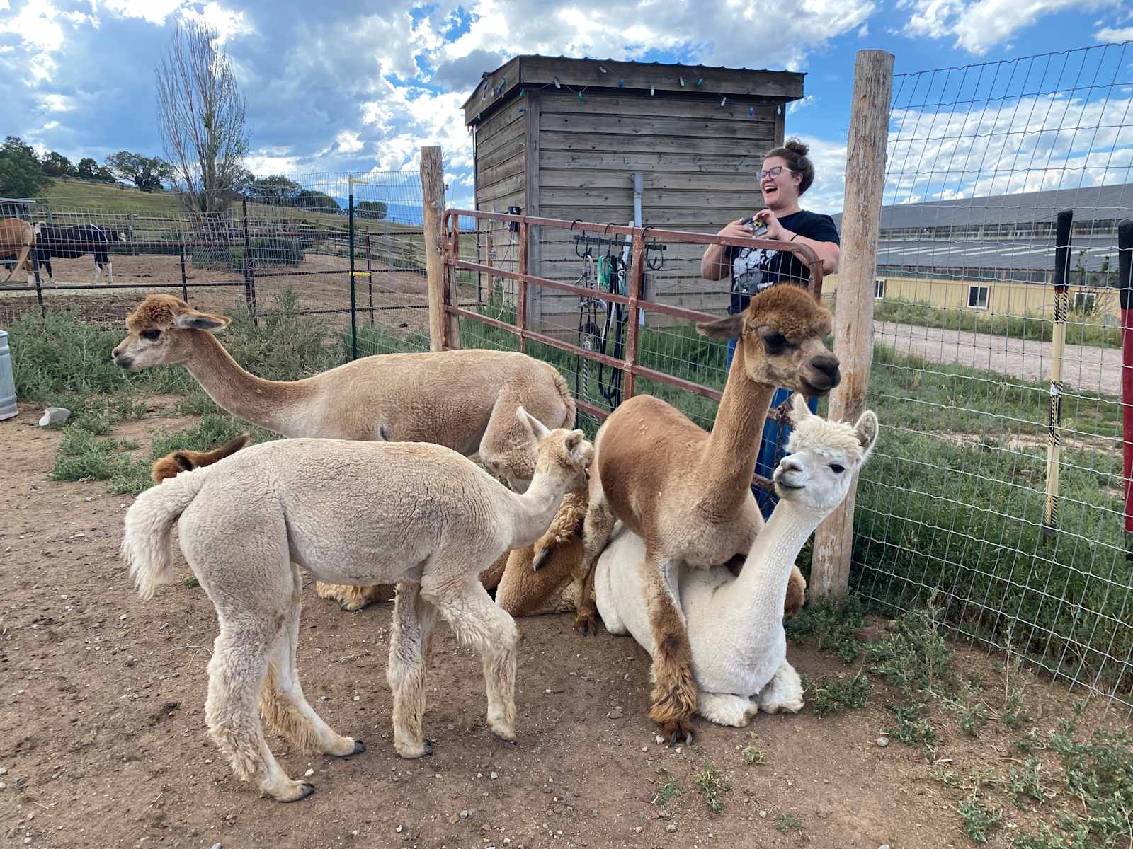 Cedar Ridge Ranch - Mulford, Colorado - glamping.directory