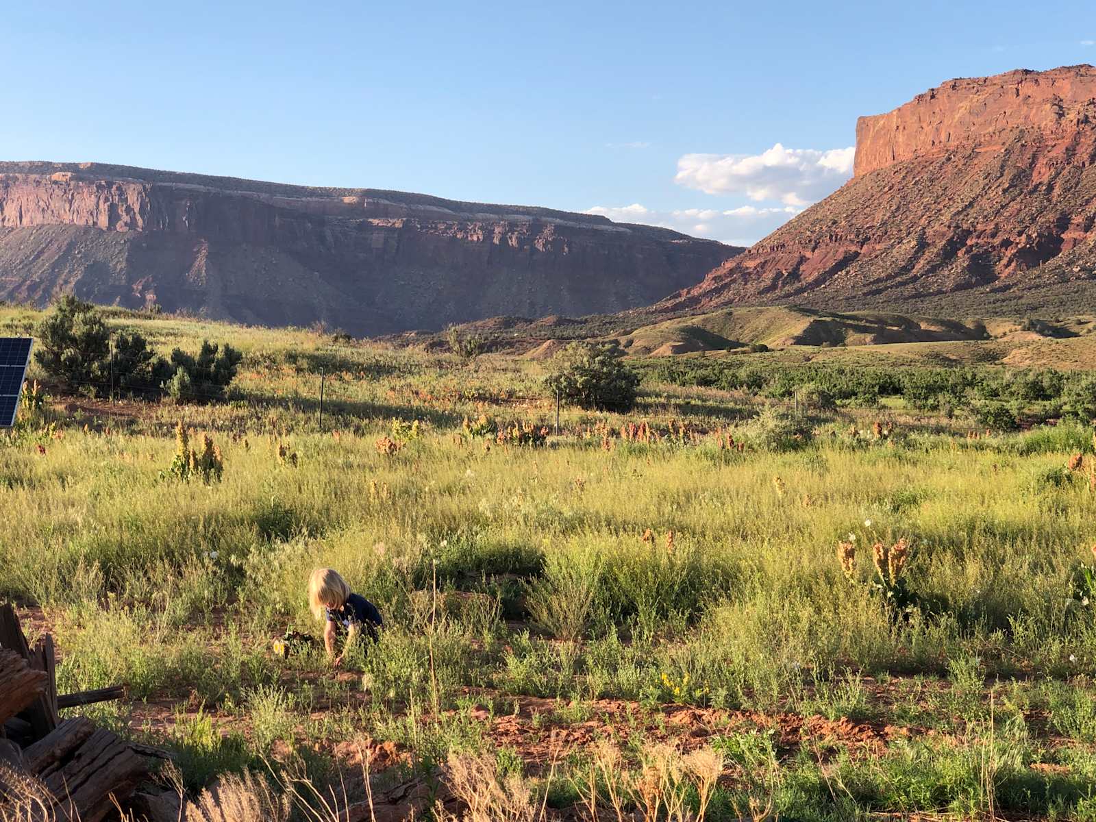 Earls HideAway - Naturita, Colorado - glamping.directory