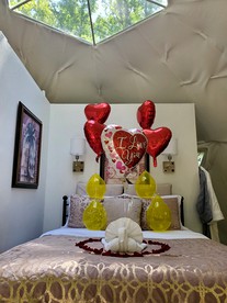 Romantic Dome Glamping in Lincolnton, Georgia, Perfect for a Couples Getaway! - Lincolnton, Georgia - glamping.directory