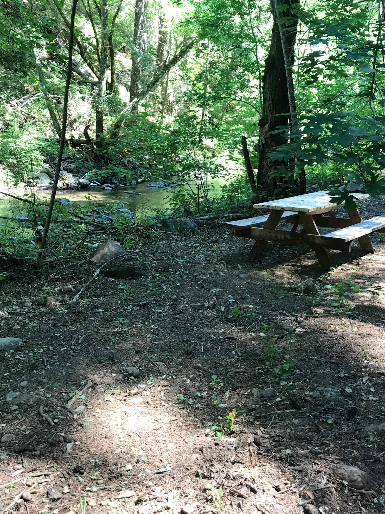 Camp Nauvoo - Placerville, California - glamping.directory