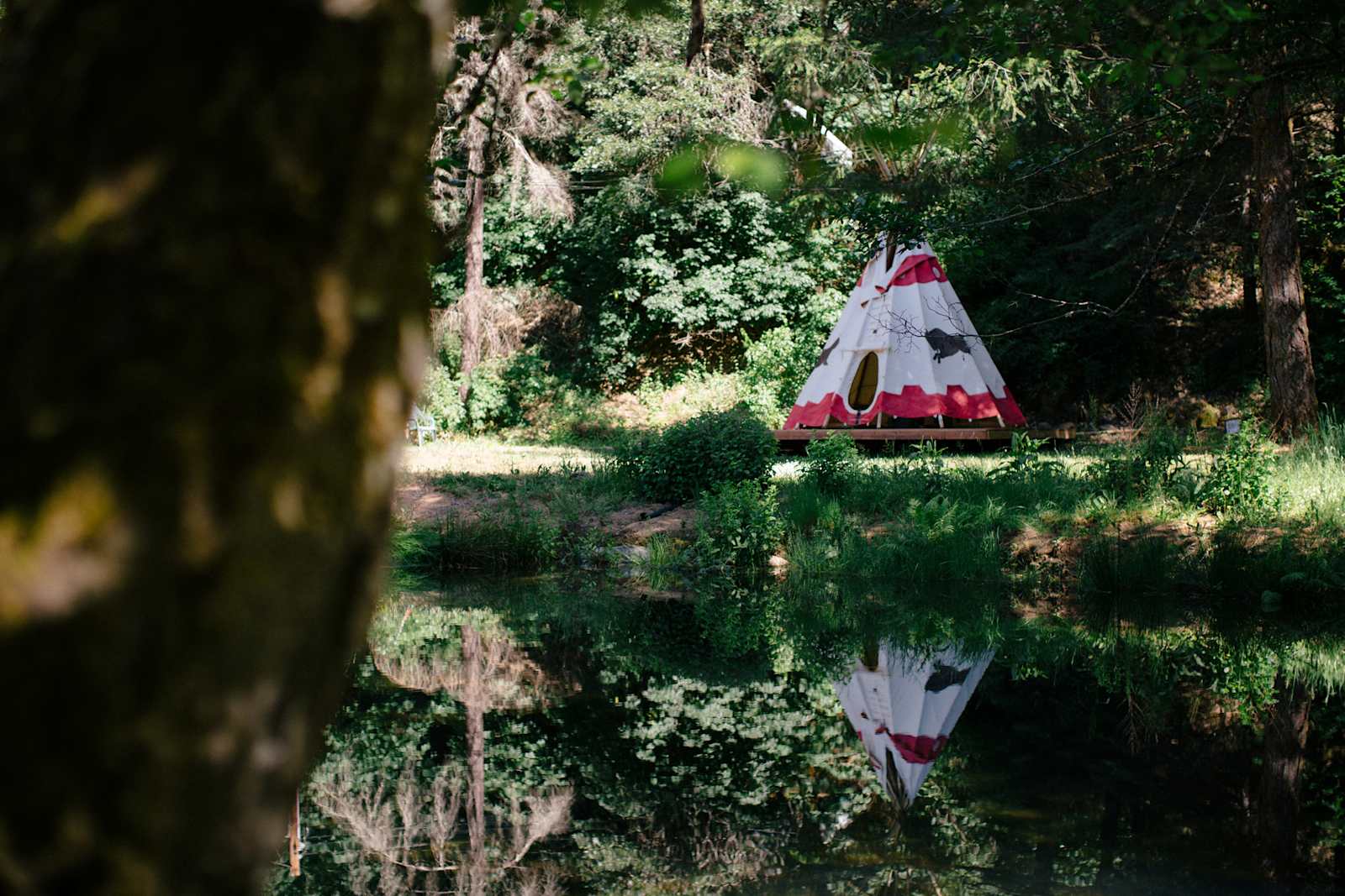 Camp Nauvoo - Placerville, California - glamping.directory