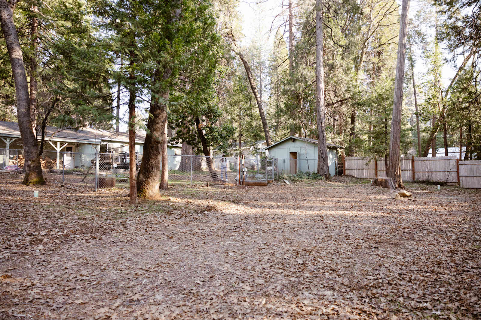 Banner Mountain Camp - Nevada City, California - glamping.directory