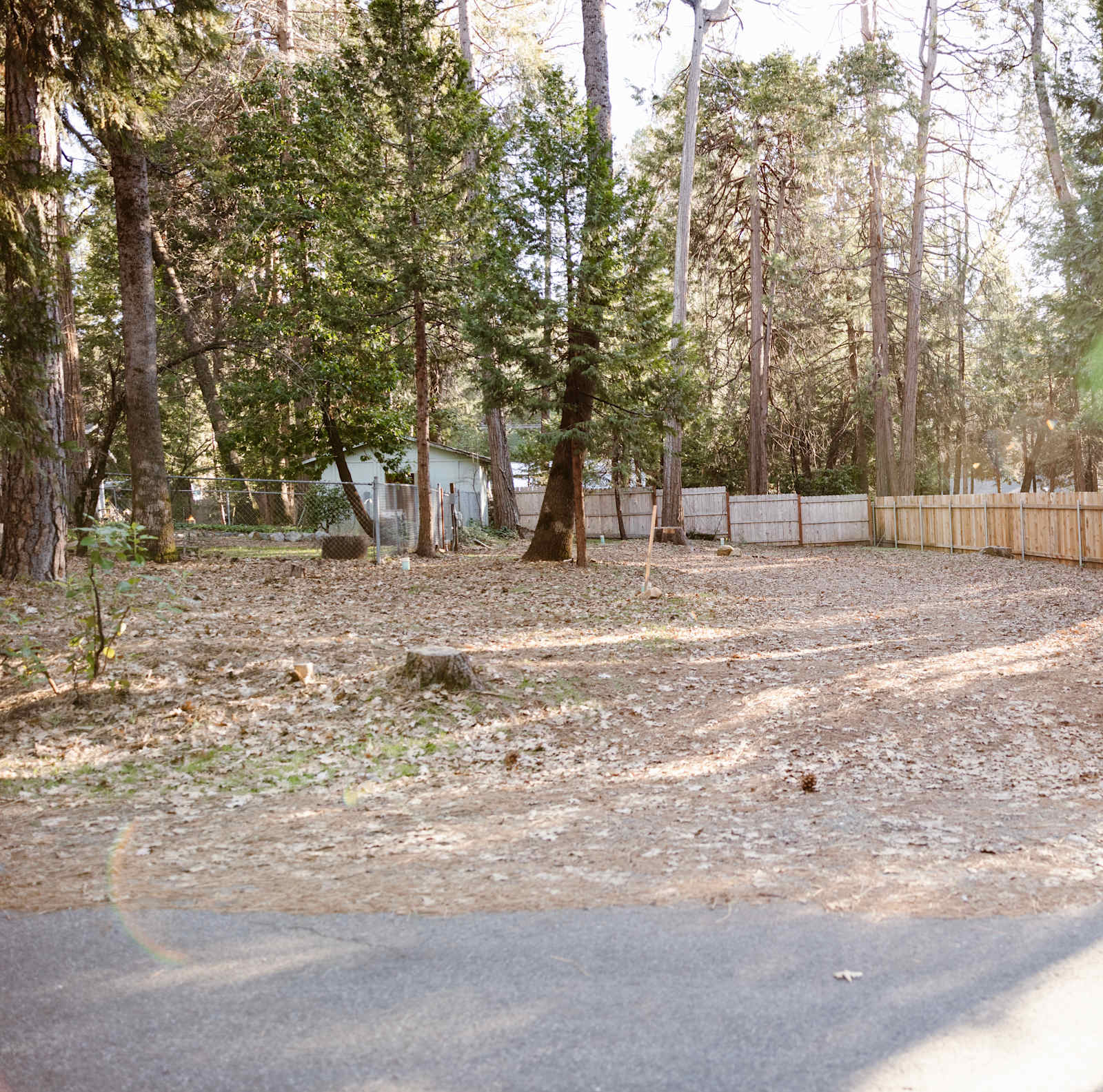 Banner Mountain Camp - Nevada City, California - glamping.directory
